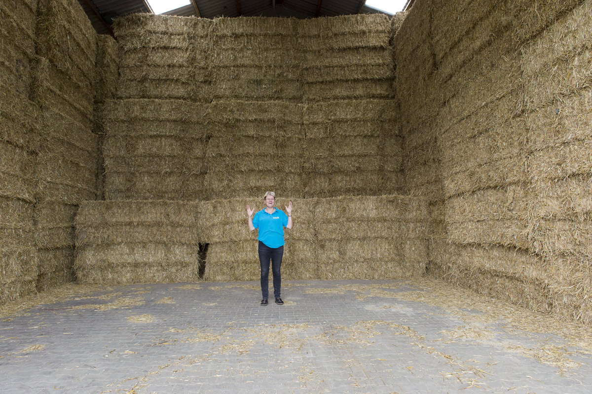 28 bedrijfsreportage Ten Have Mellema